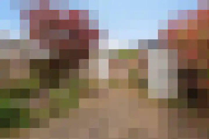 Livornostraat 43 Eindhoven thumbnail 34