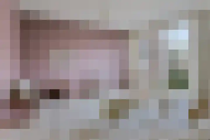 Livornostraat 43 Eindhoven thumbnail 7
