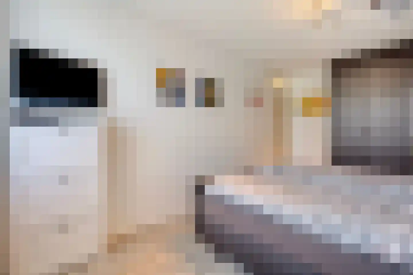 Livornostraat 47 Eindhoven thumbnail 24