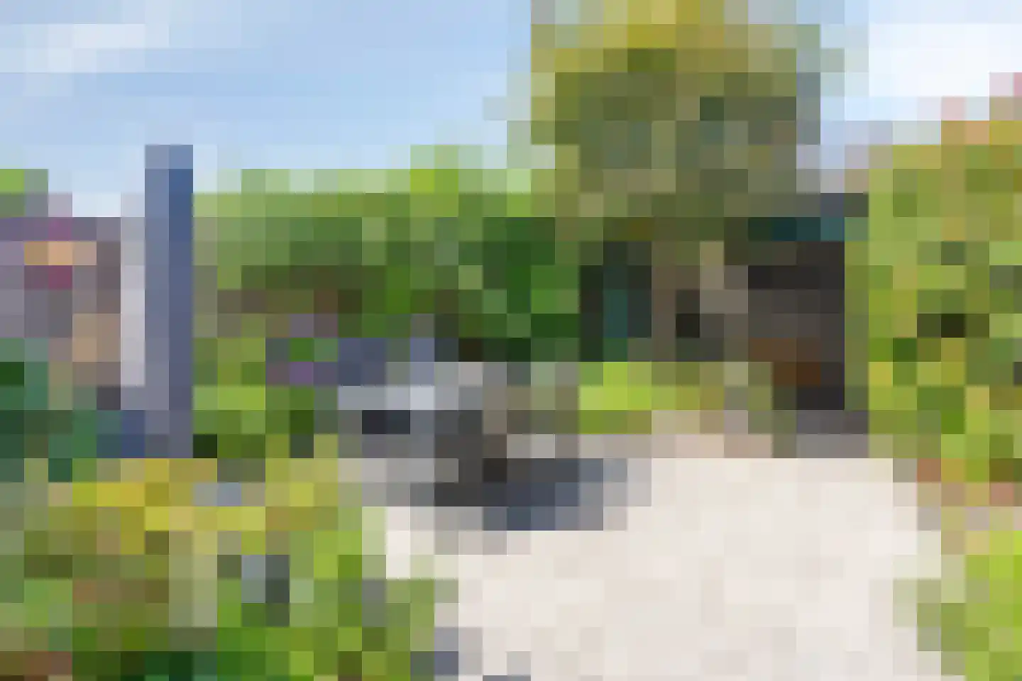 Livornostraat 47 Eindhoven thumbnail 38