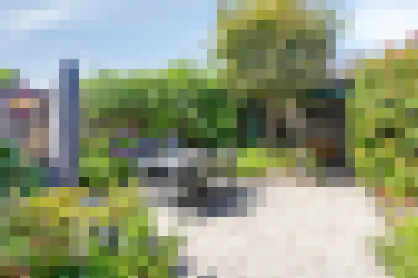 Livornostraat 47 Eindhoven thumbnail 4