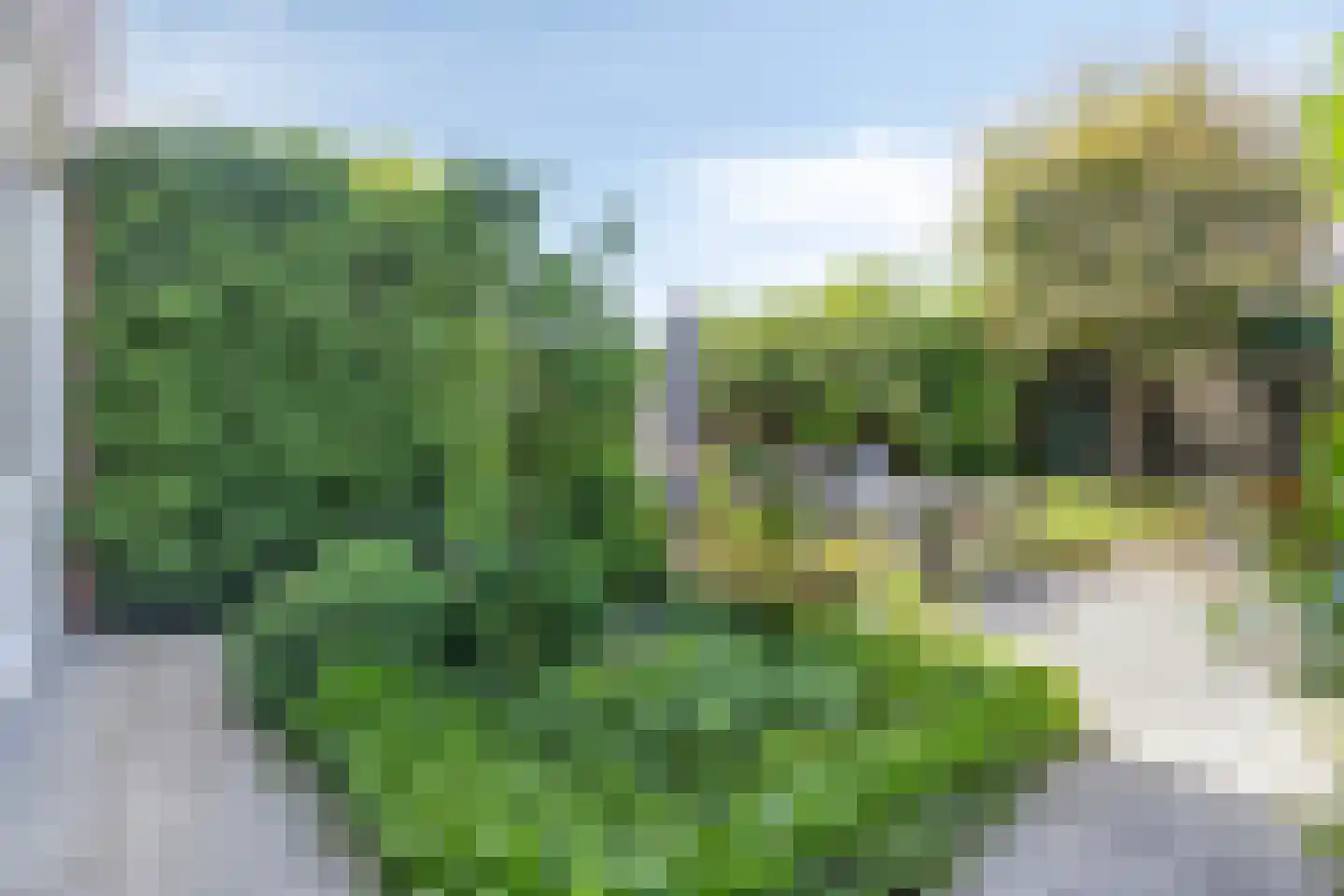 Livornostraat 47 Eindhoven thumbnail 40