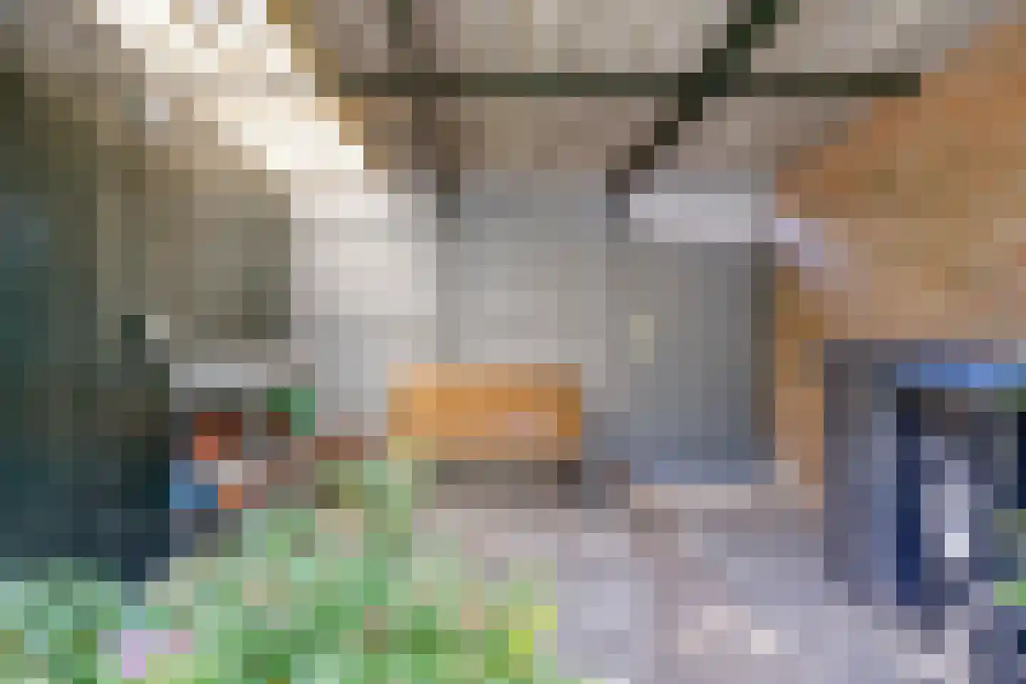 Livornostraat 47 Eindhoven thumbnail 42