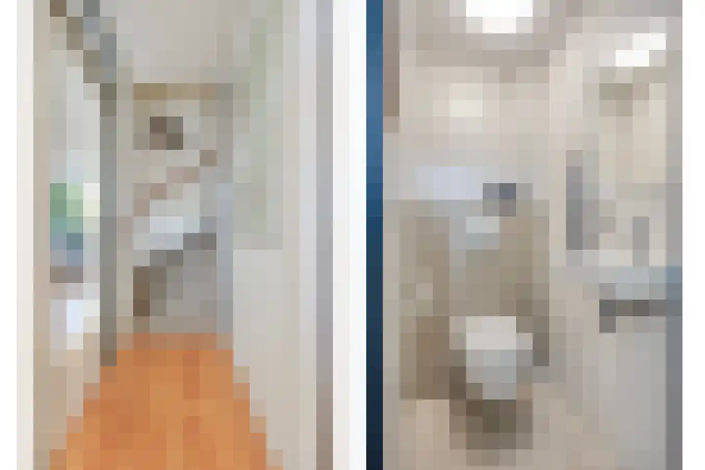 Livornostraat 47 Eindhoven thumbnail 9