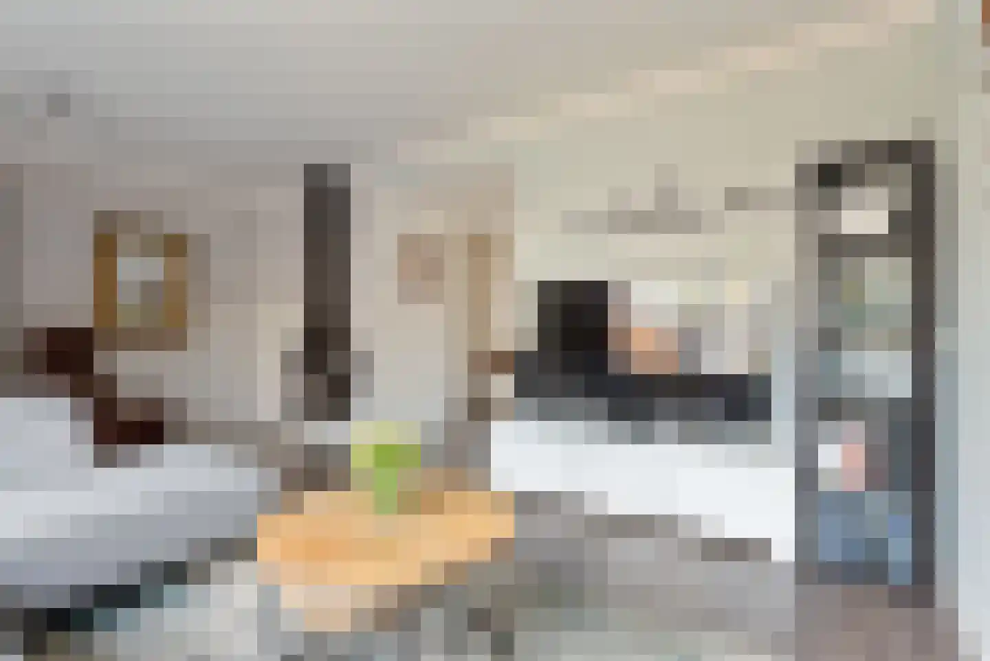Livornostraat 51 Eindhoven thumbnail 12