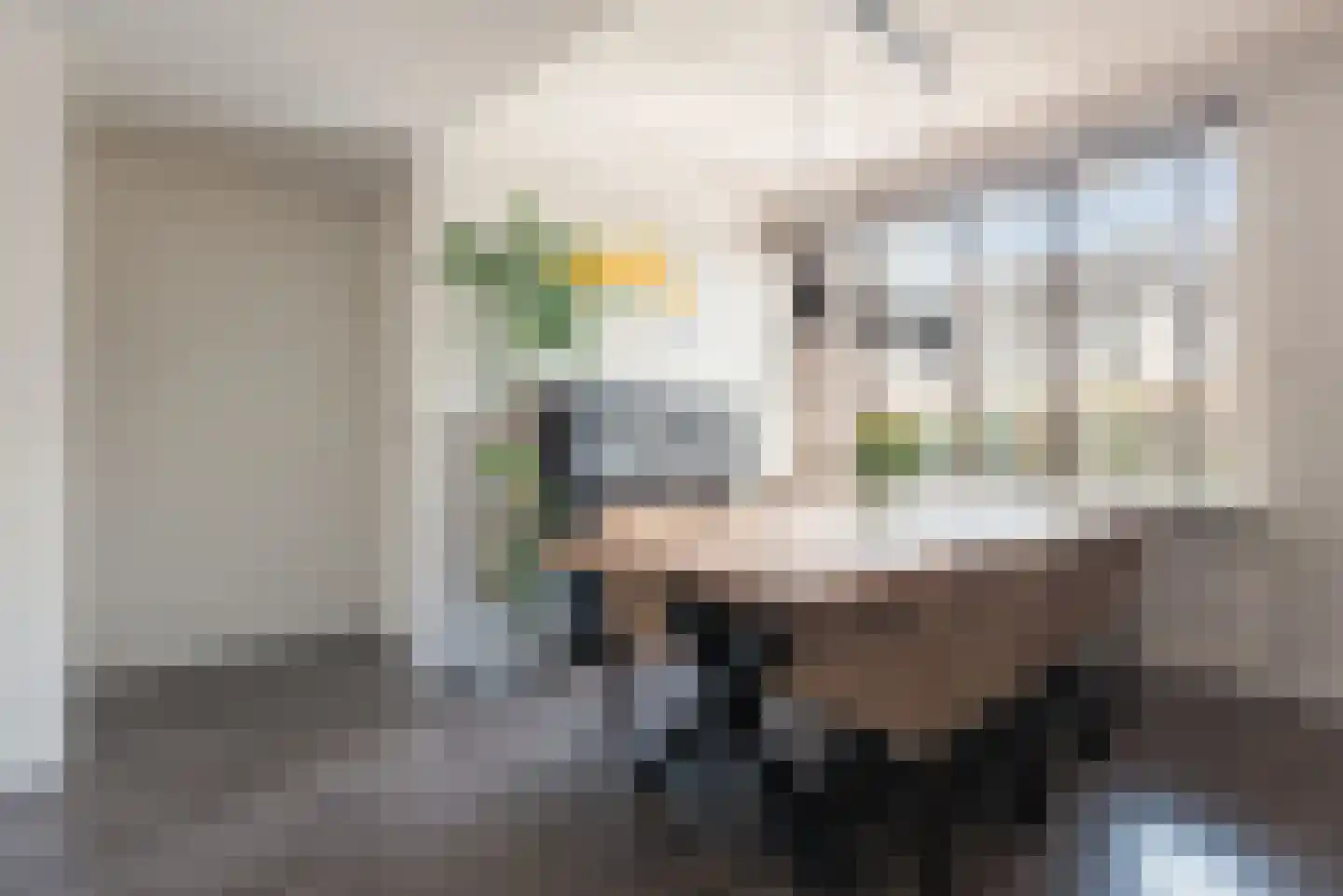 Livornostraat 51 Eindhoven thumbnail 19