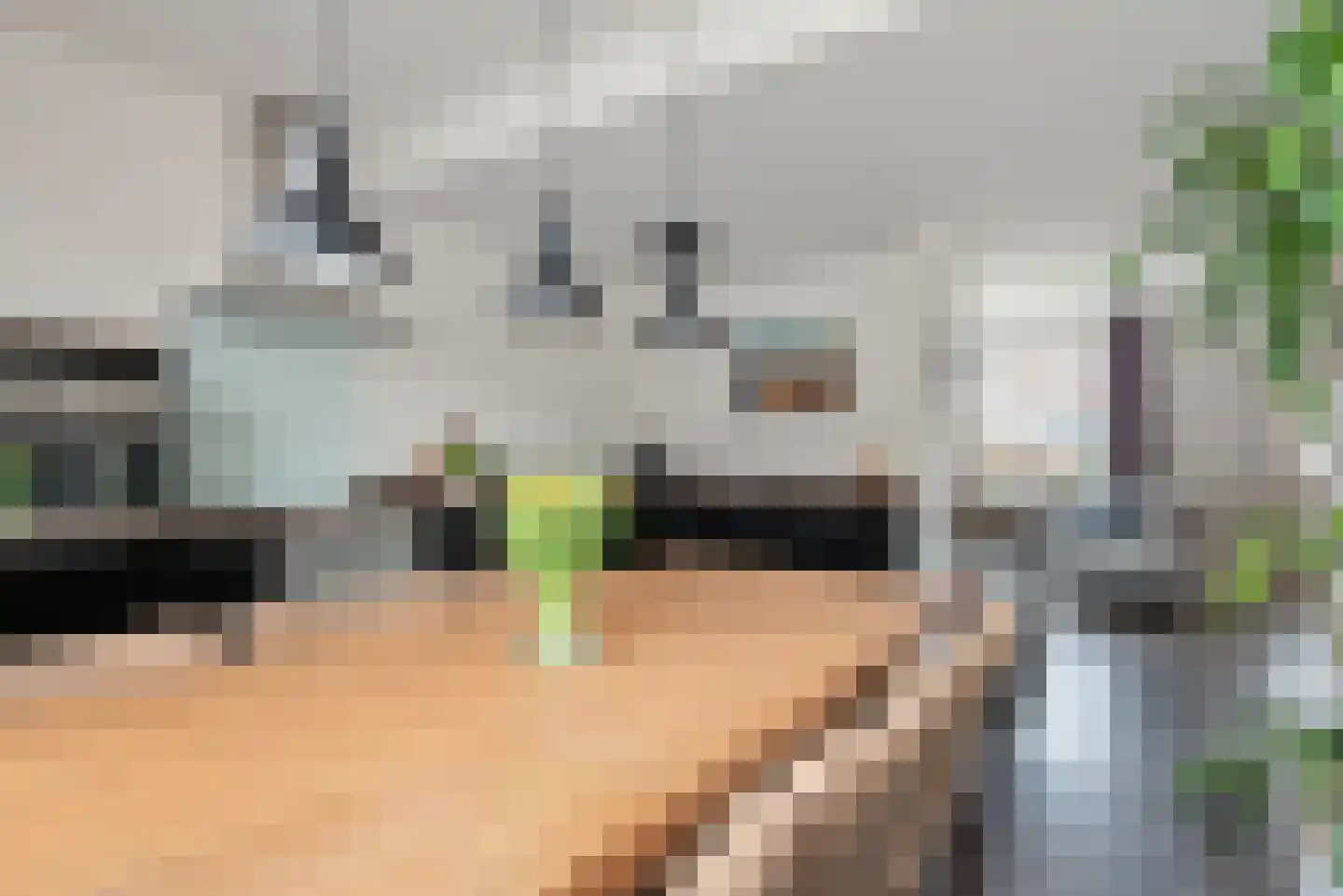 Livornostraat 51 Eindhoven thumbnail 21