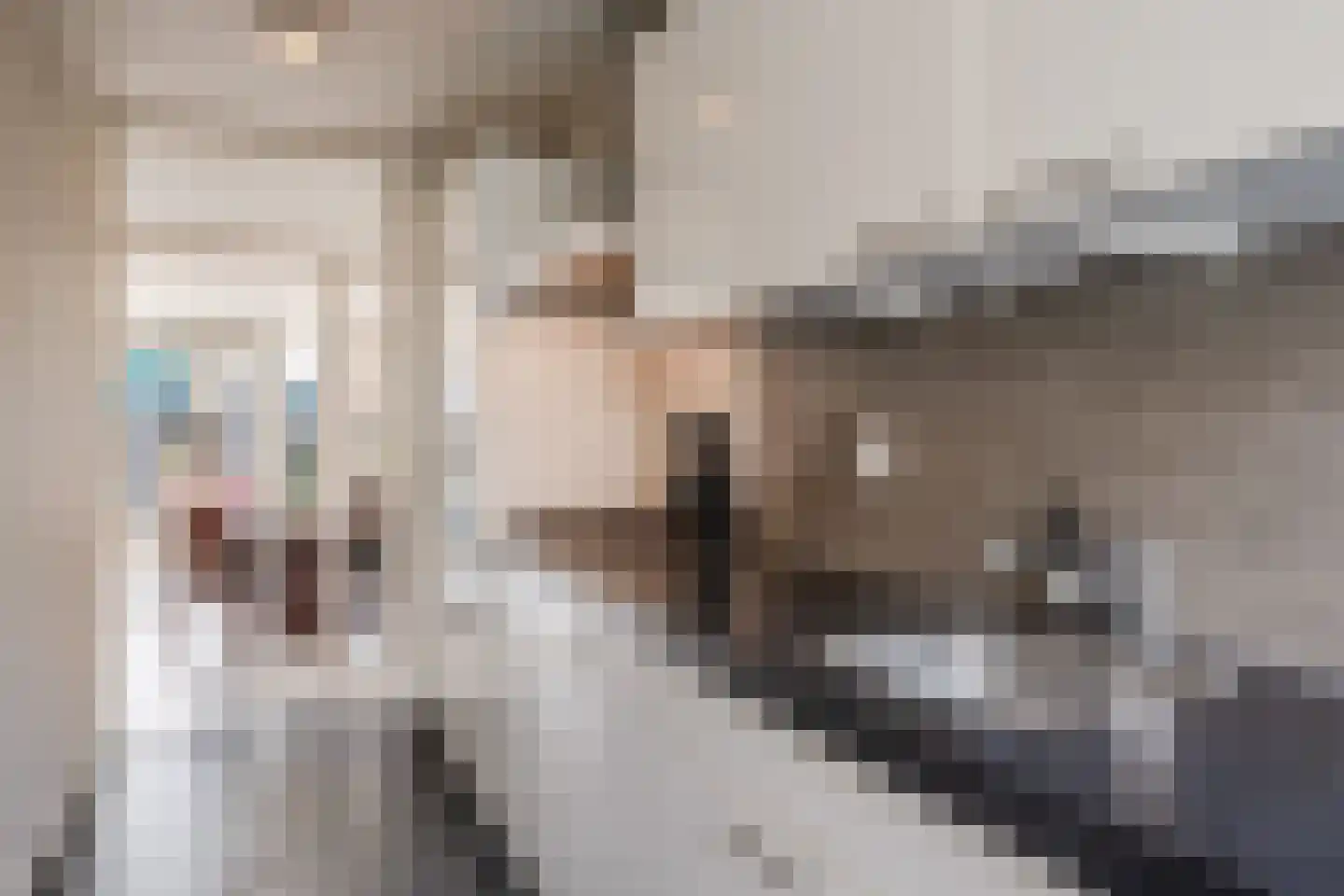 Lizzy Ansinghstraat 121 Amsterdam thumbnail 17