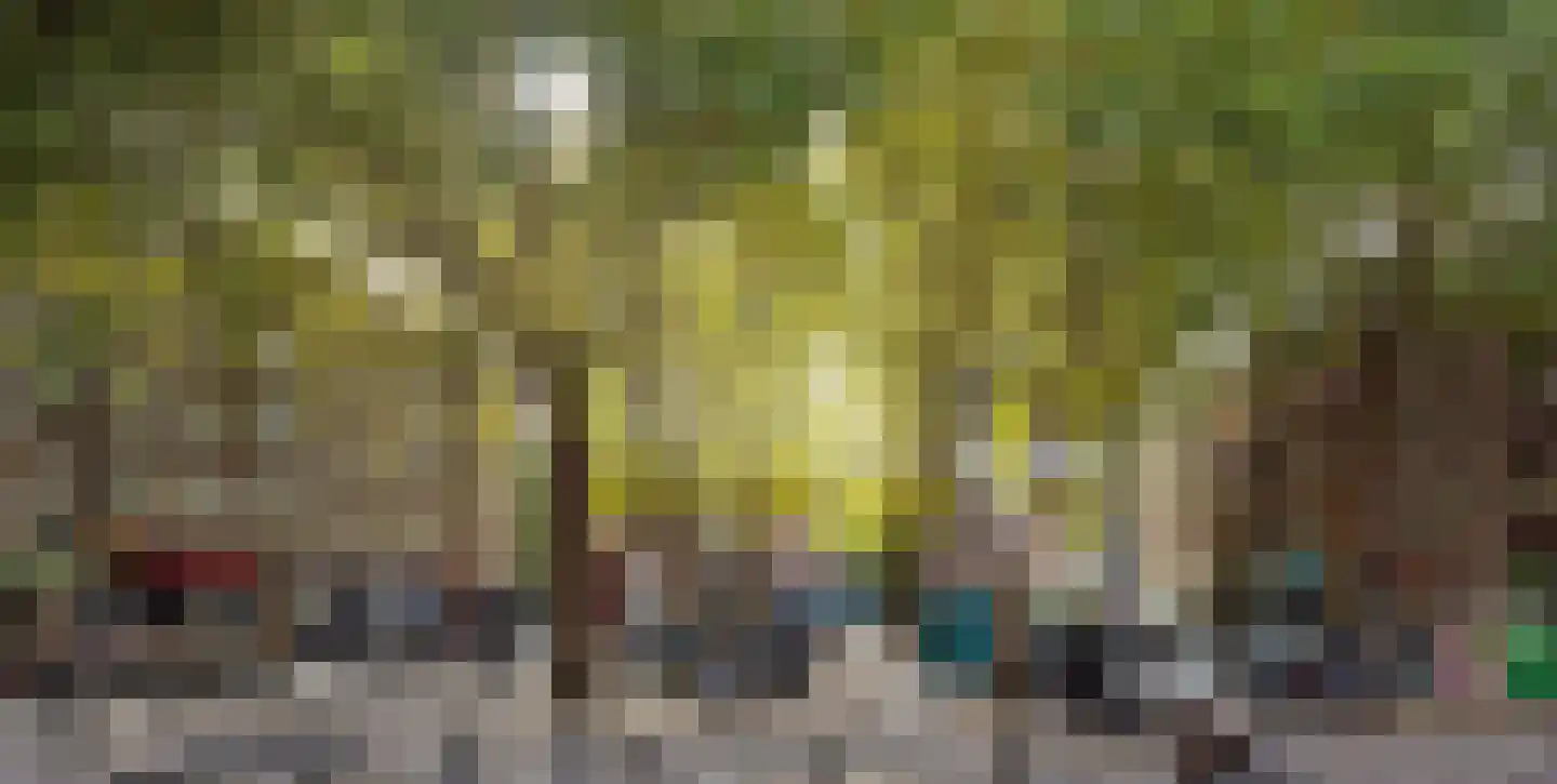 Lizzy Ansinghstraat 121 Amsterdam thumbnail 32
