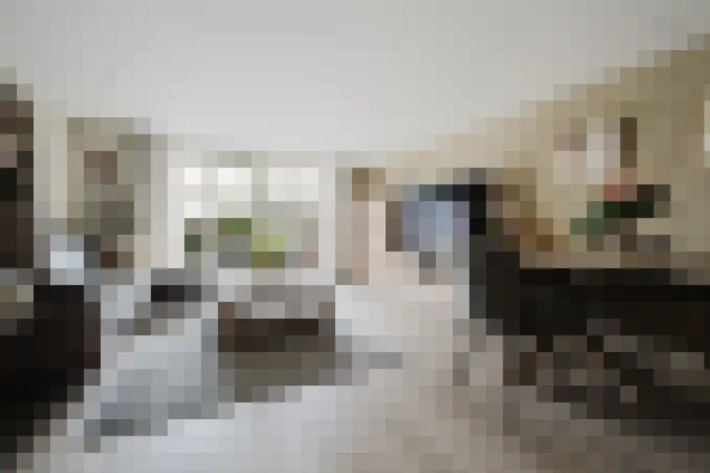 Lizzy Ansinghstraat 33 Spijkenisse thumbnail 11