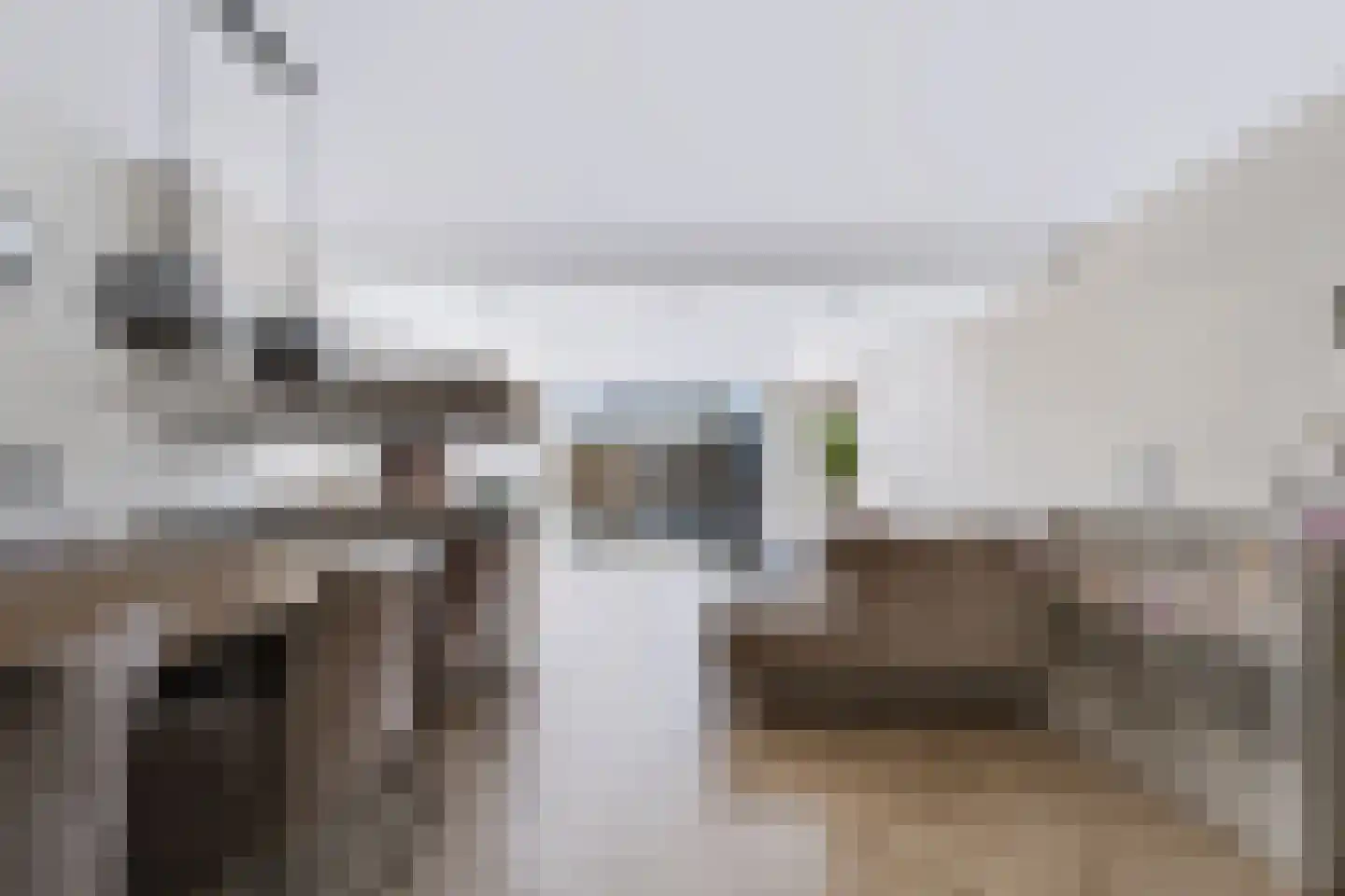 Lizzy Ansinghstraat 35 Spijkenisse thumbnail 21