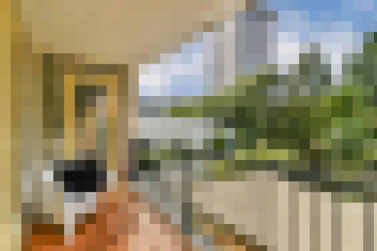 Lizzy Ansinghstraat 58 Amsterdam thumbnail 5