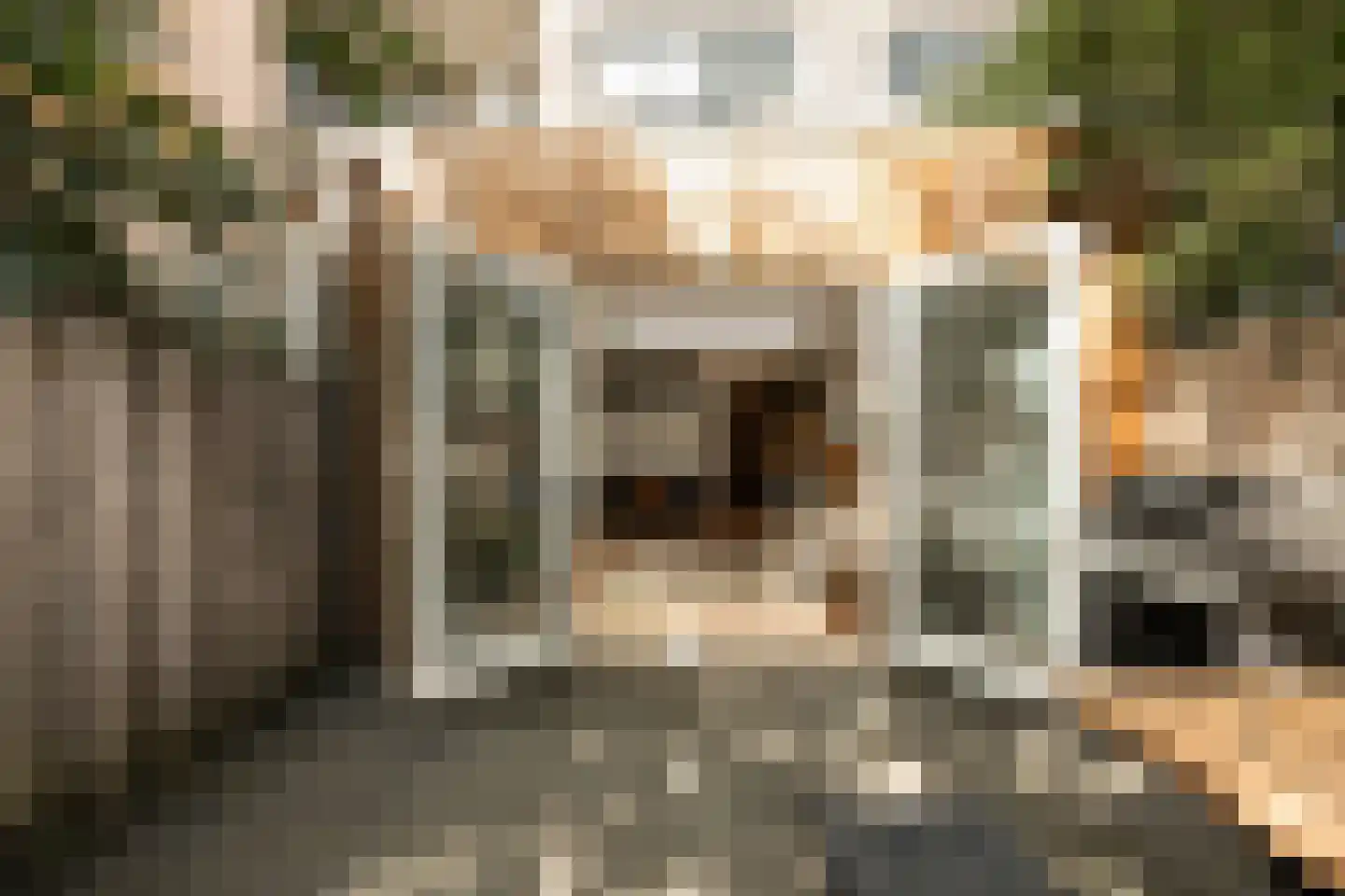 Lizzy Ansinghstraat 8 Amsterdam thumbnail 15