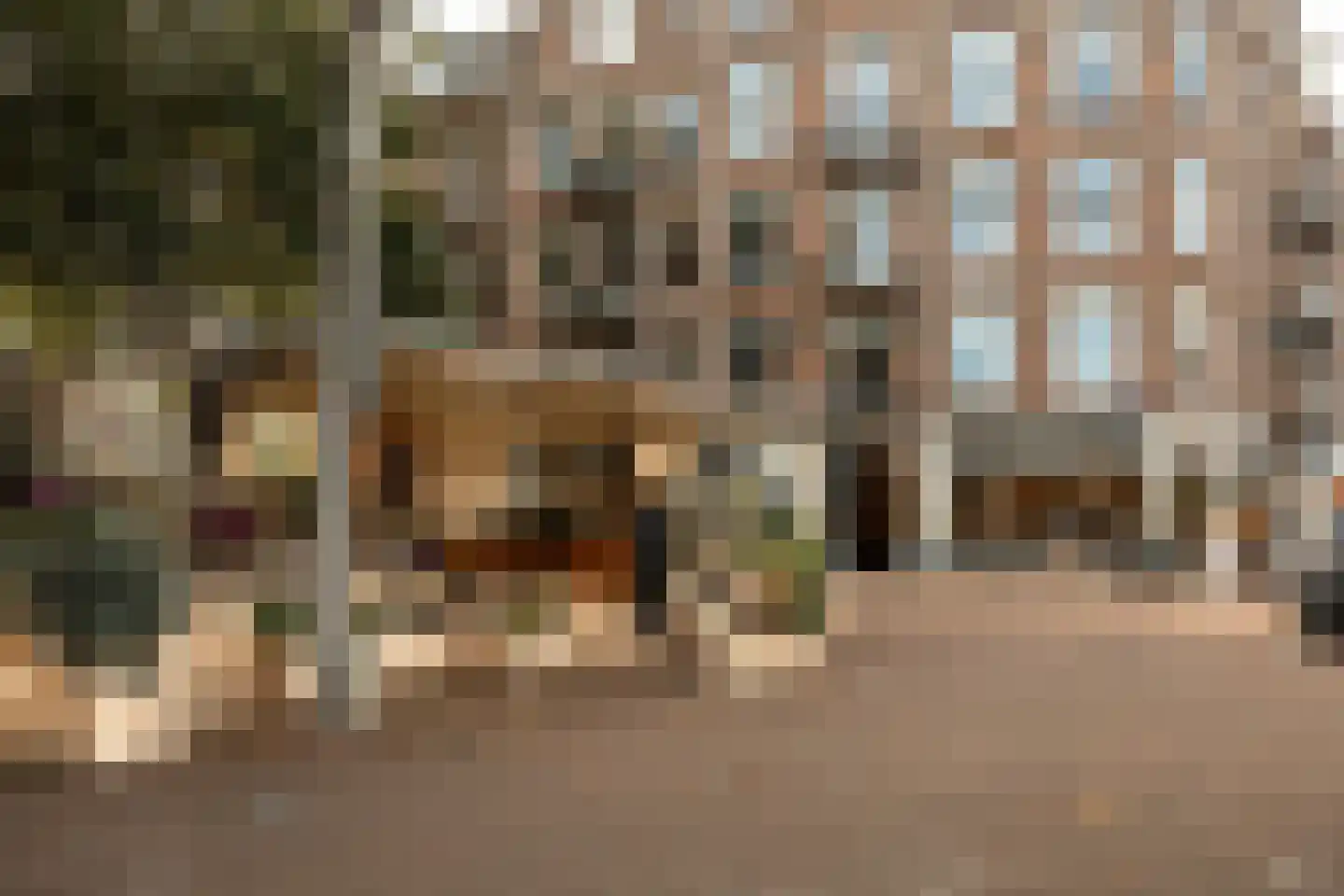 Lizzy Ansinghstraat 8 Amsterdam thumbnail 27