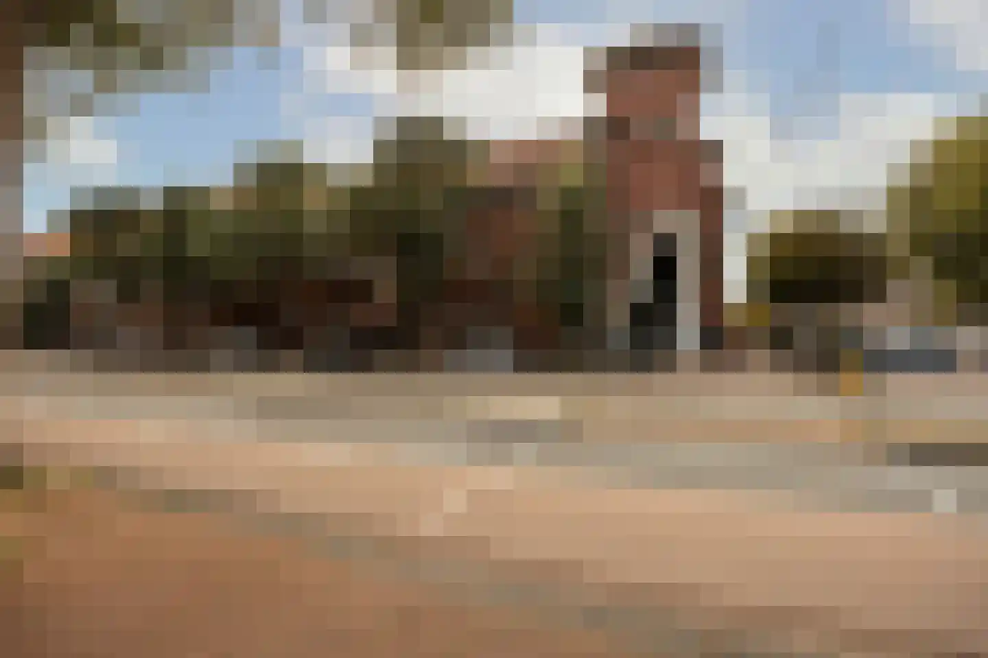 Lizzy Ansinghstraat 8 Amsterdam thumbnail 29