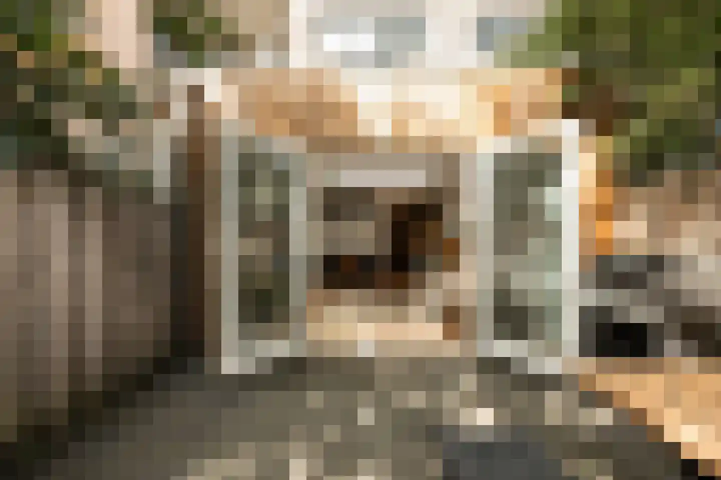 Lizzy Ansinghstraat 8 Amsterdam thumbnail 5