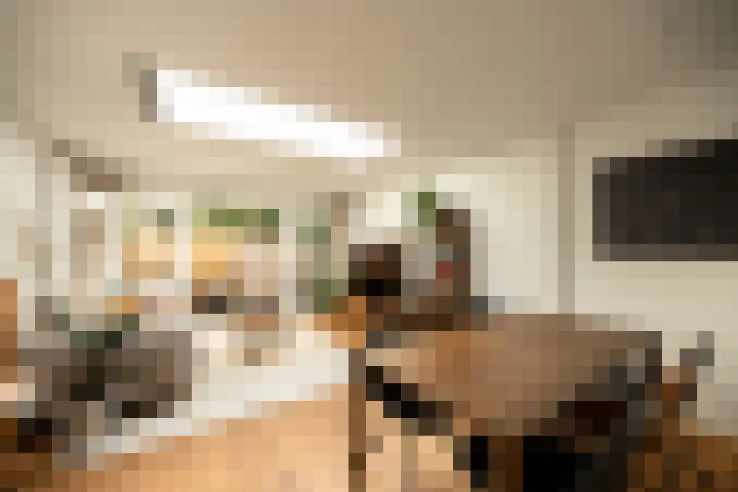 Lizzy Ansinghstraat 8 Amsterdam thumbnail 8
