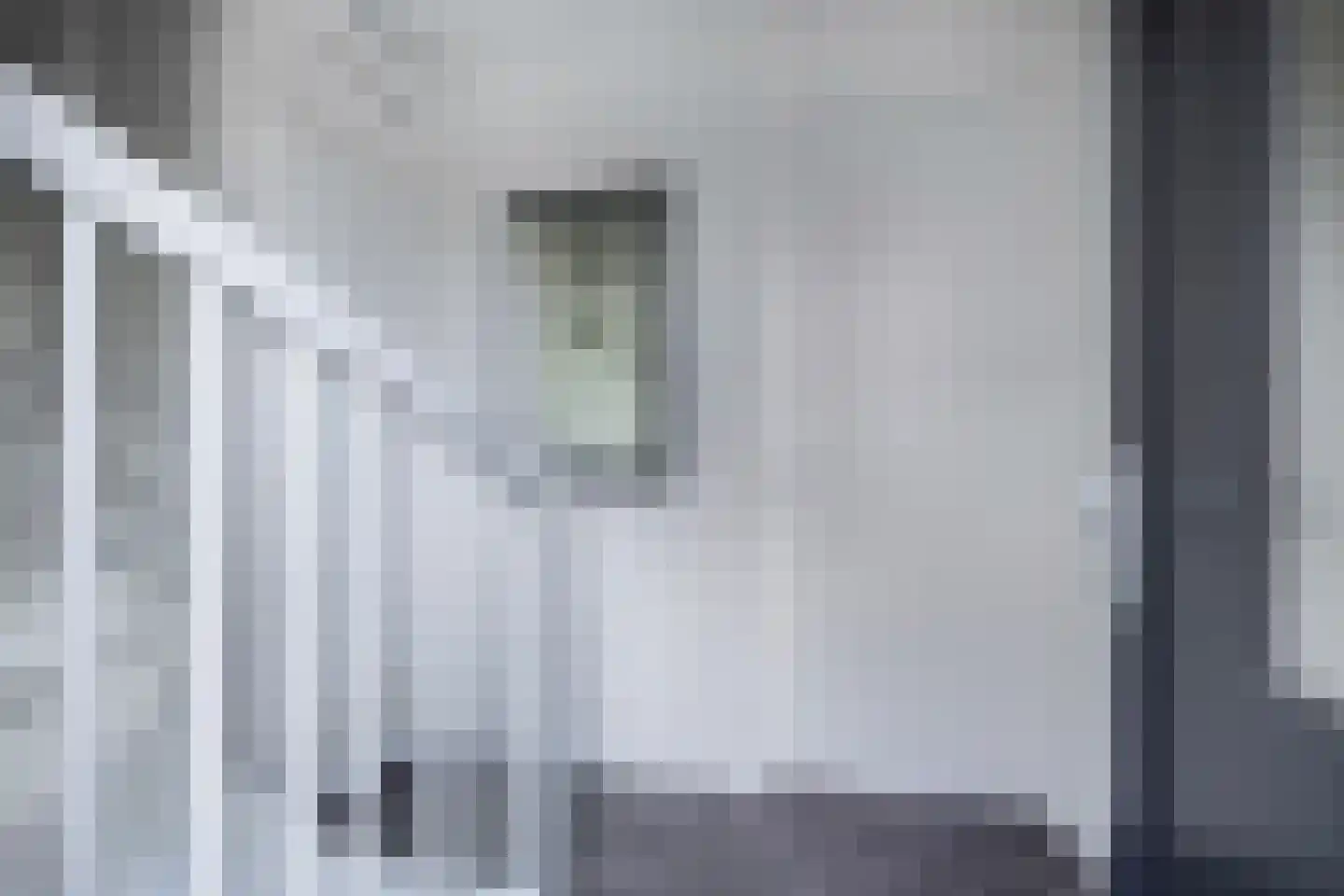 Ljippeblom 26 Boornbergum thumbnail 10