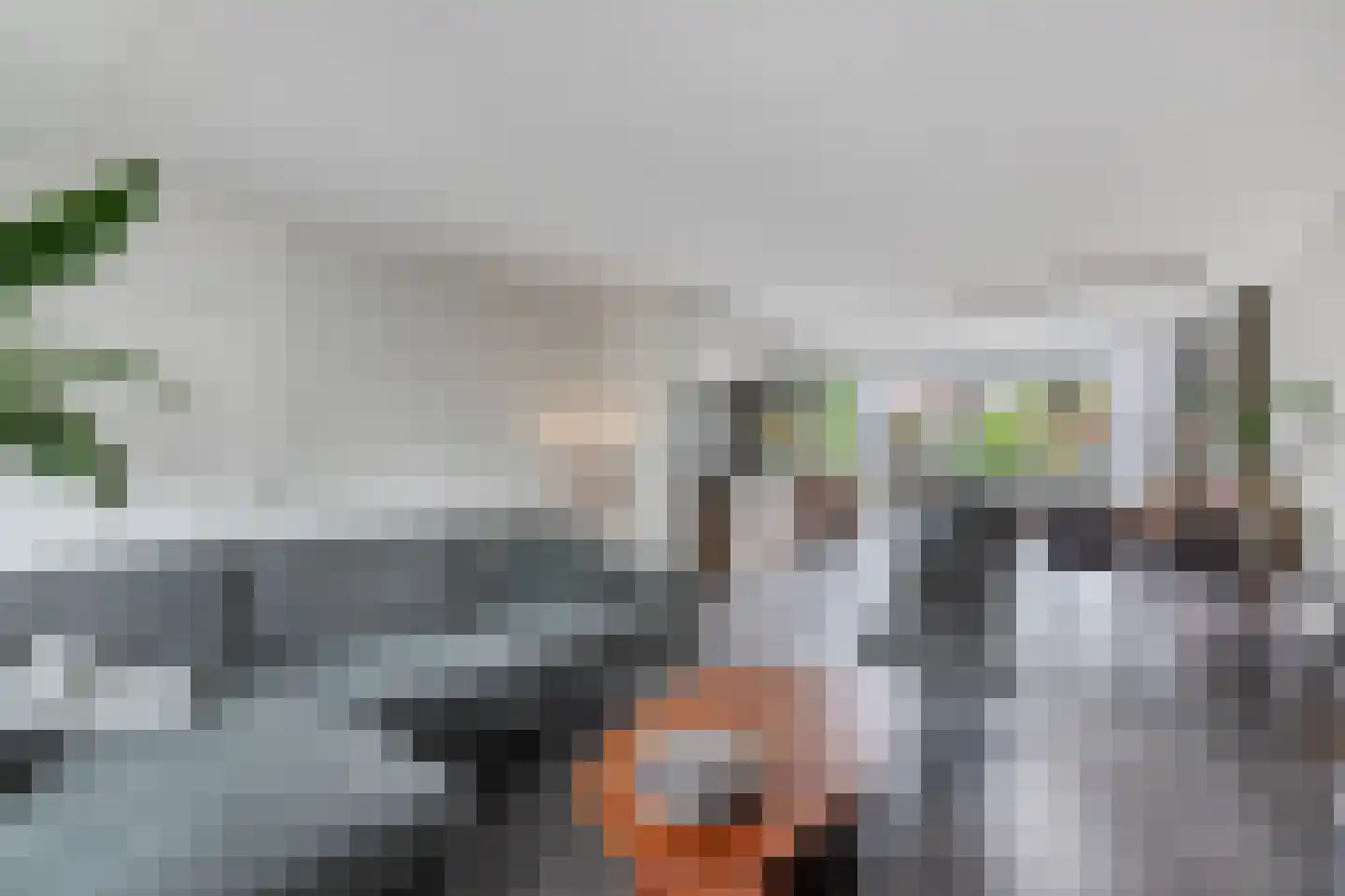 Ljippeblom 26 Boornbergum thumbnail 12