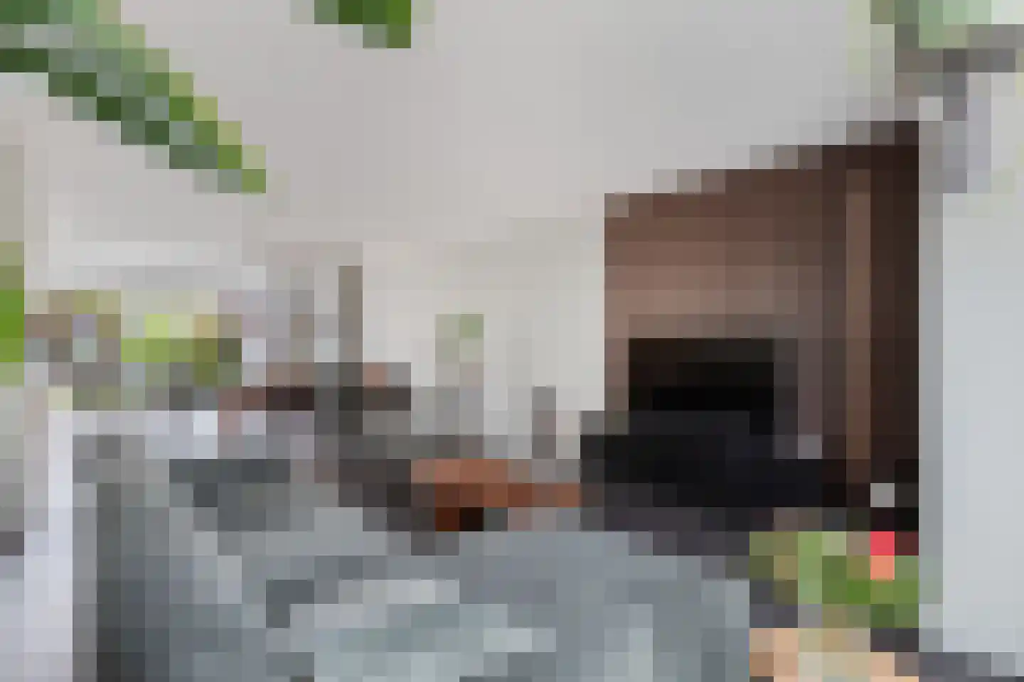 Ljippeblom 26 Boornbergum thumbnail 13