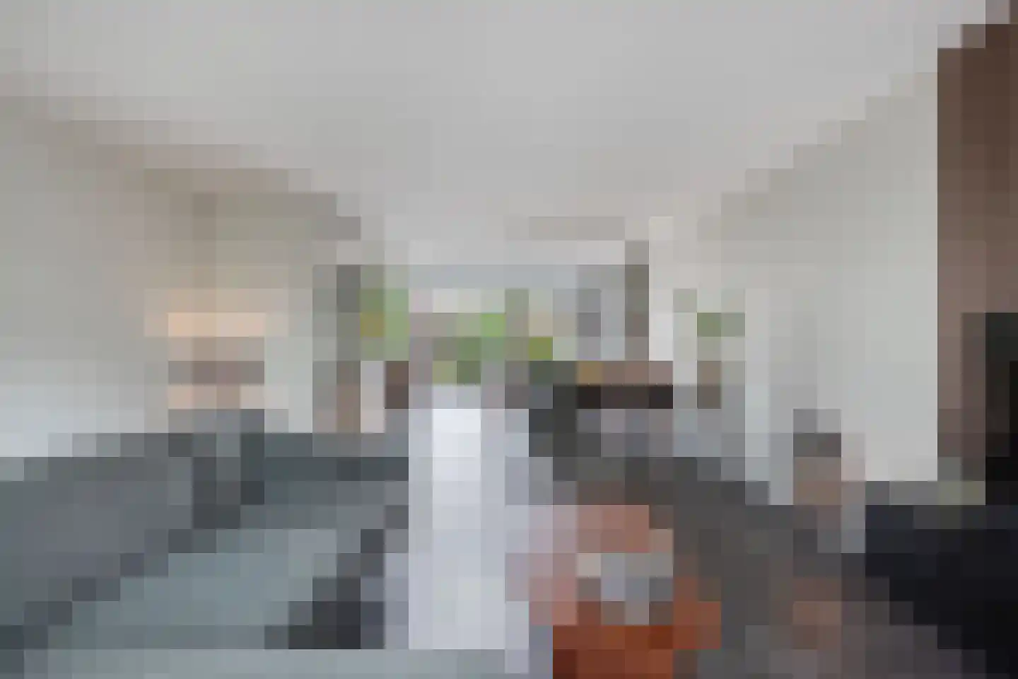 Ljippeblom 26 Boornbergum thumbnail 16