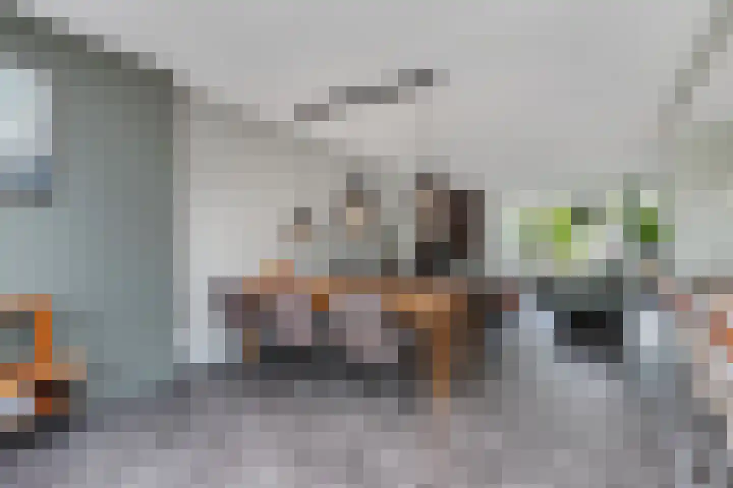 Ljippeblom 26 Boornbergum thumbnail 17