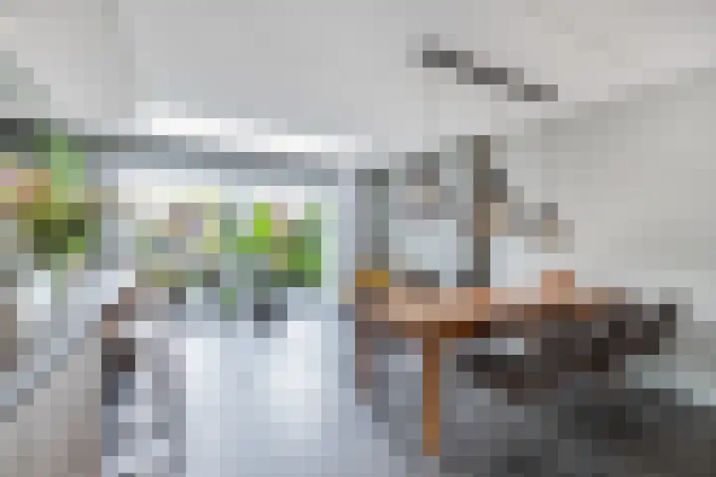 Ljippeblom 26 Boornbergum thumbnail 18