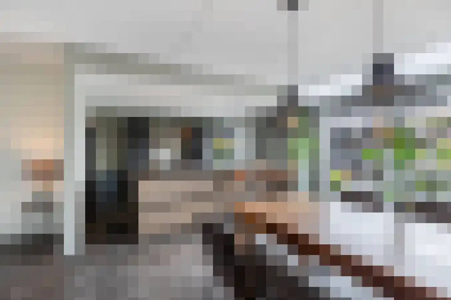 Ljippeblom 26 Boornbergum thumbnail 20