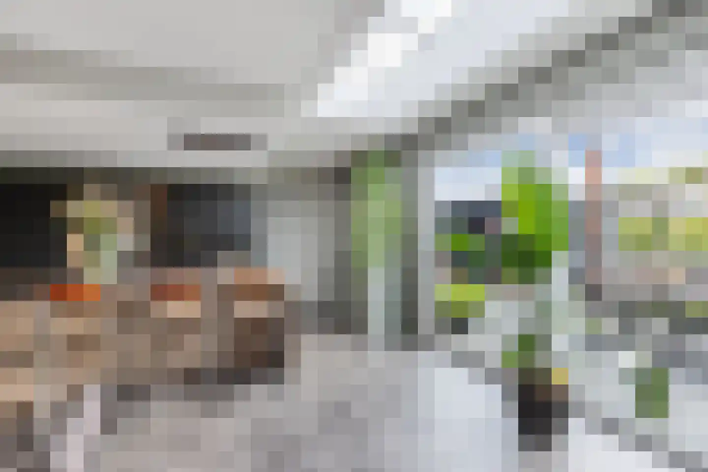 Ljippeblom 26 Boornbergum thumbnail 21
