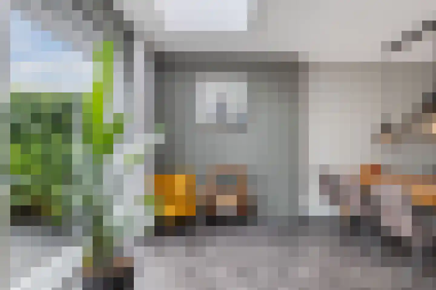 Ljippeblom 26 Boornbergum thumbnail 22