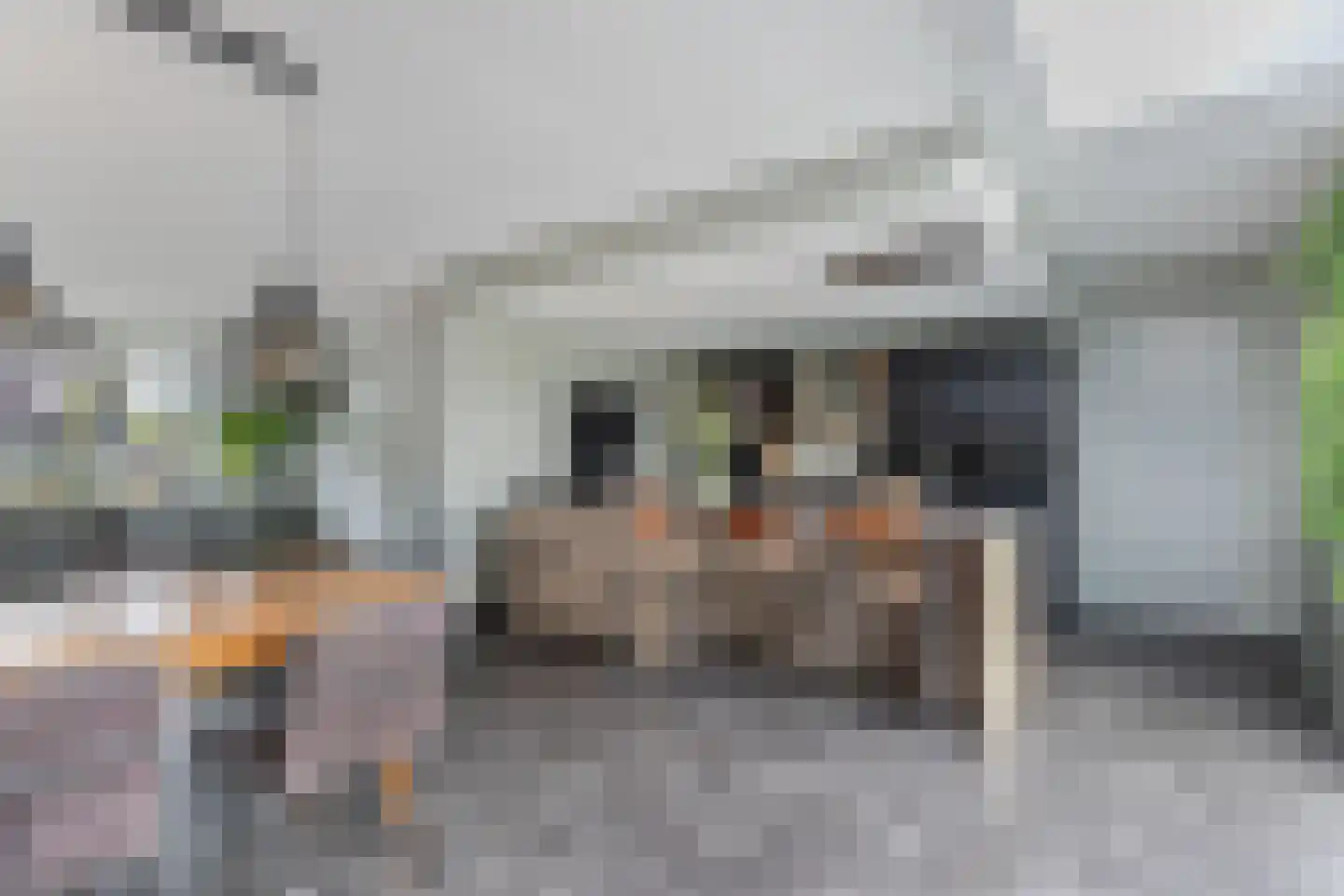 Ljippeblom 26 Boornbergum thumbnail 23