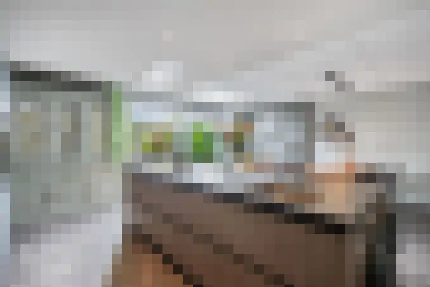 Ljippeblom 26 Boornbergum thumbnail 25