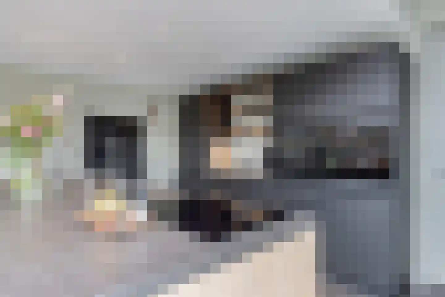 Ljippeblom 26 Boornbergum thumbnail 26