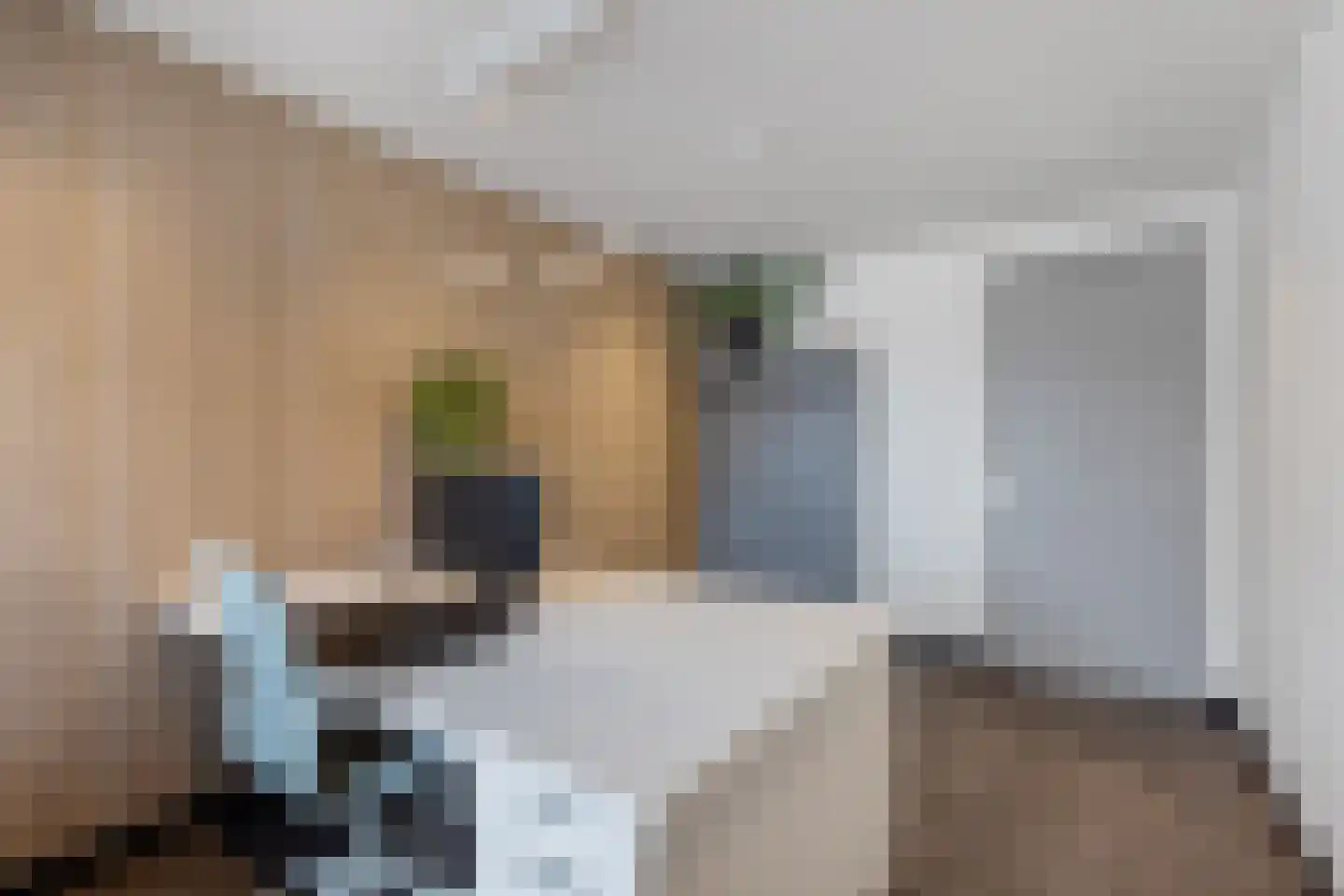 Ljippeblom 26 Boornbergum thumbnail 28