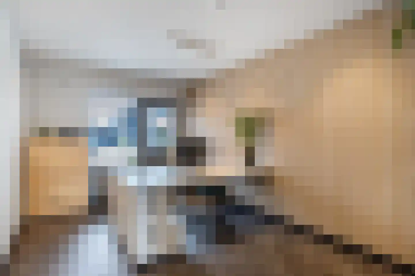 Ljippeblom 26 Boornbergum thumbnail 29