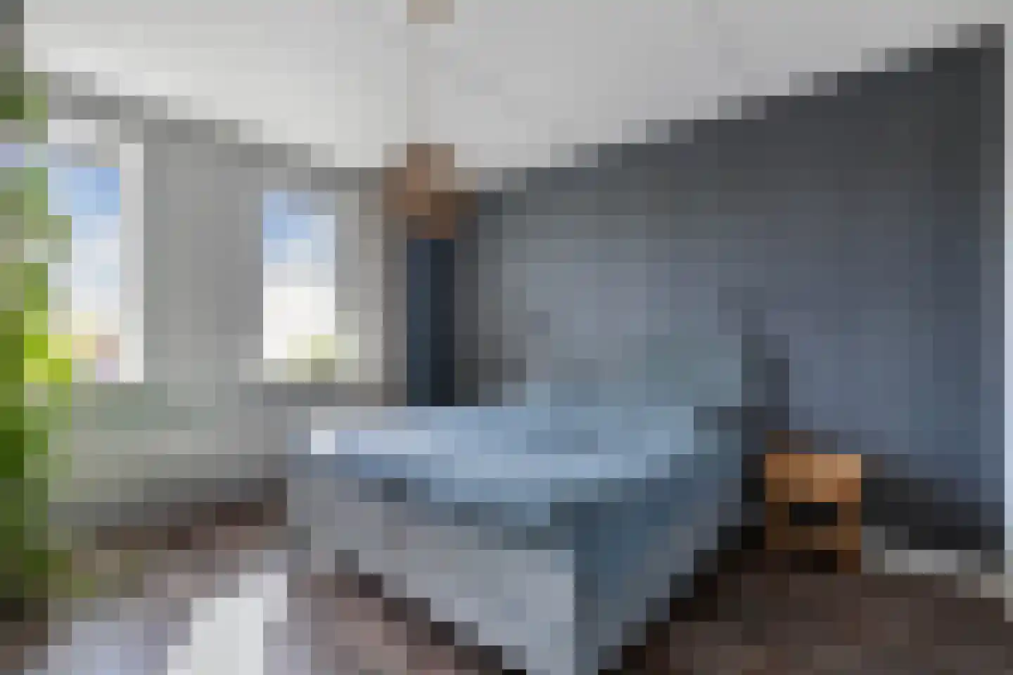 Ljippeblom 26 Boornbergum thumbnail 32