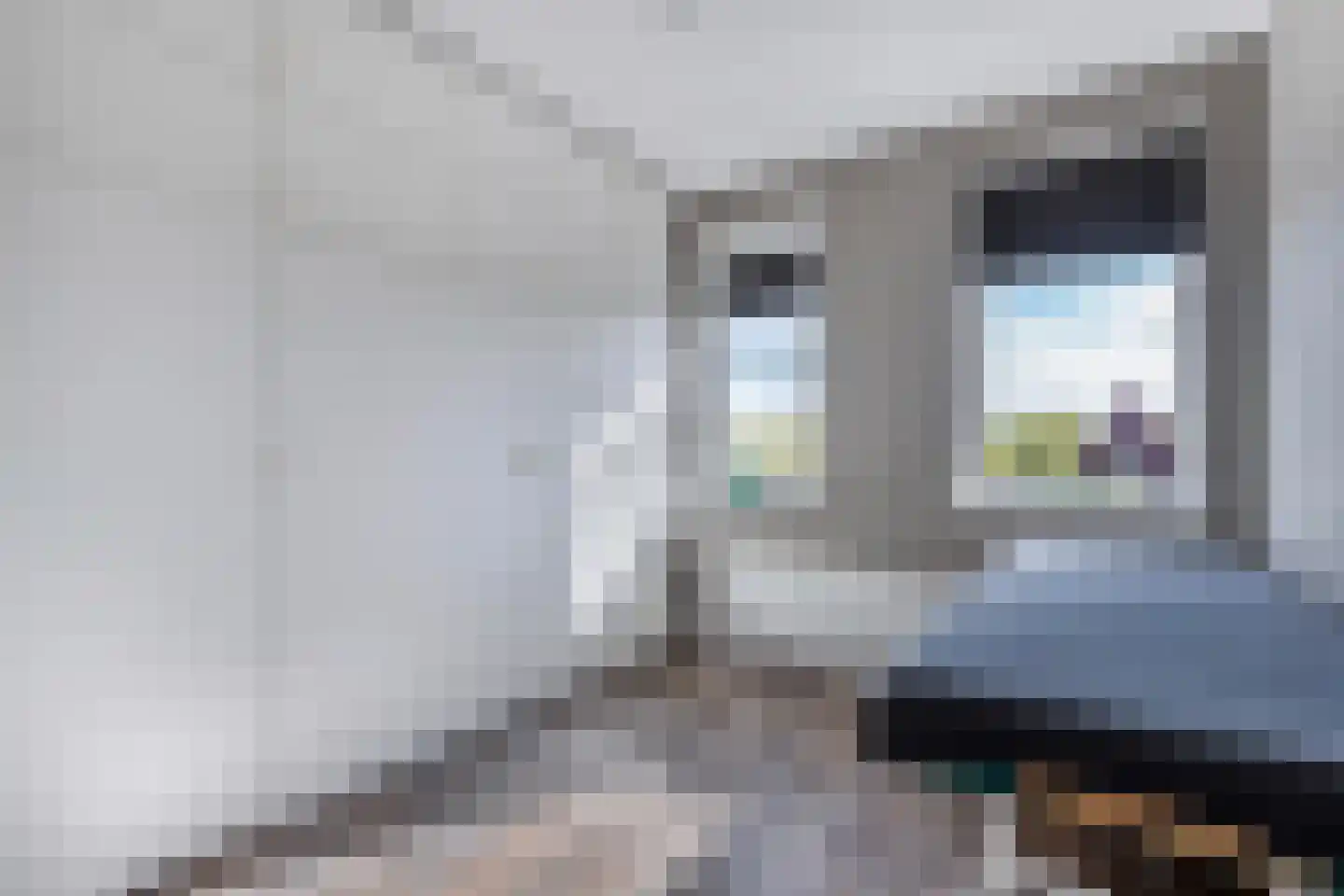 Ljippeblom 26 Boornbergum thumbnail 34