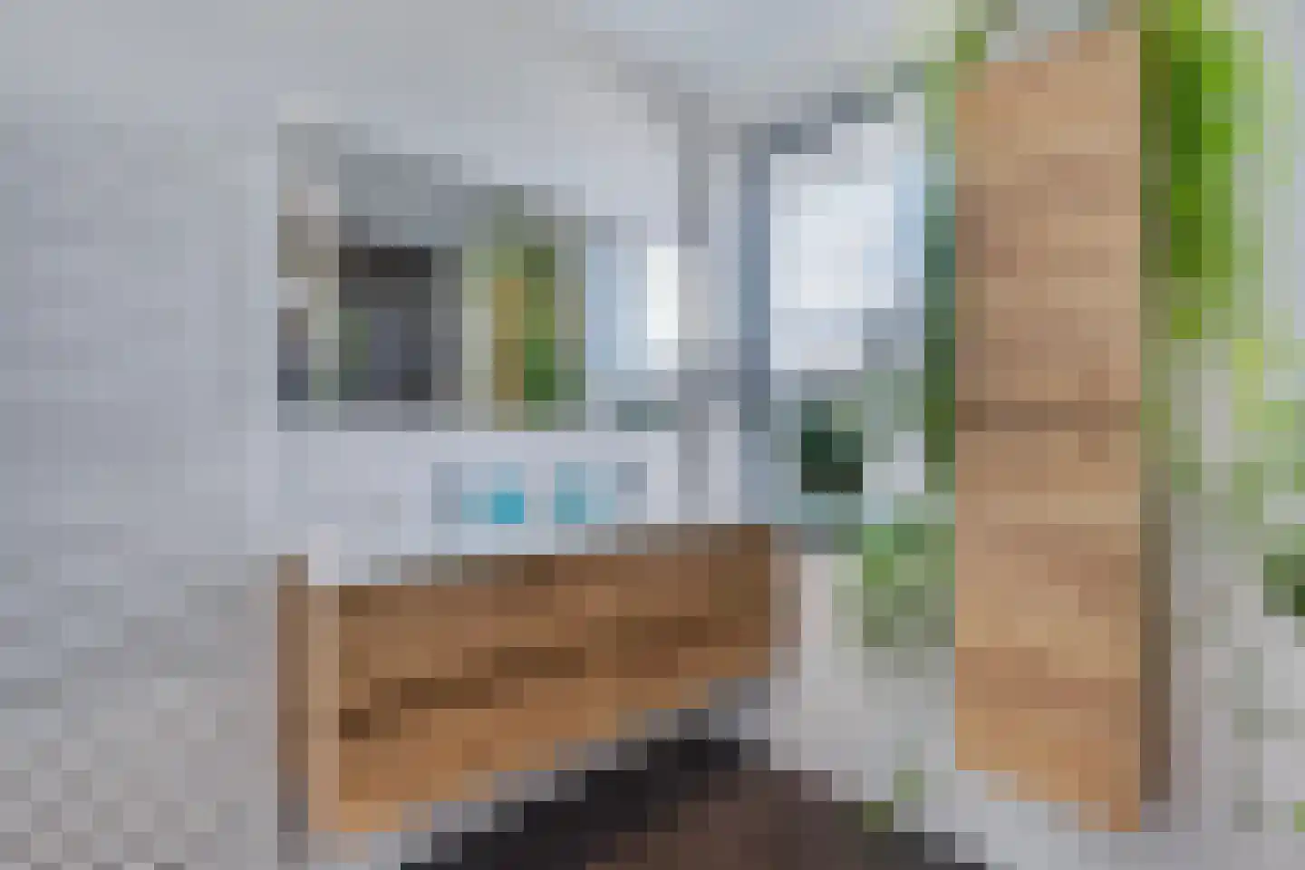 Ljippeblom 26 Boornbergum thumbnail 37