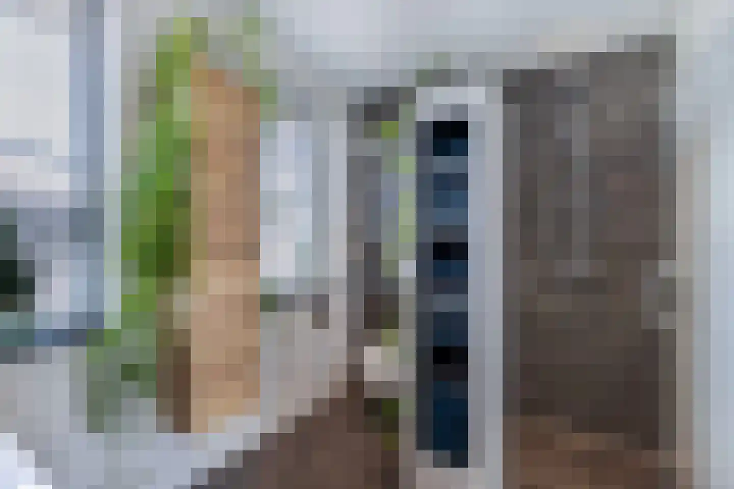 Ljippeblom 26 Boornbergum thumbnail 38