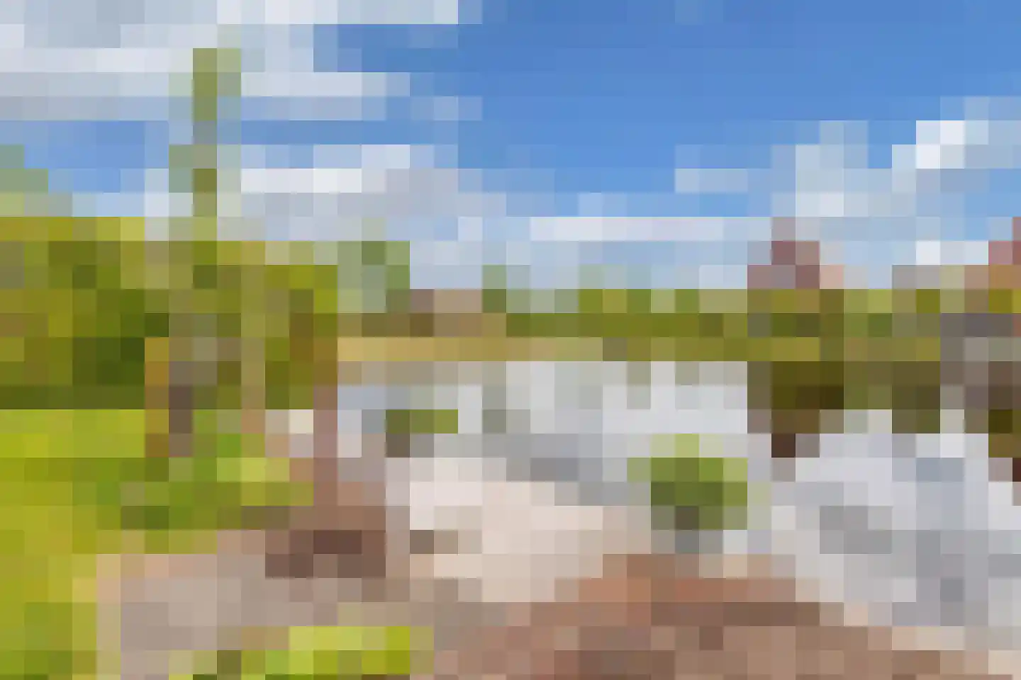 Ljippeblom 26 Boornbergum thumbnail 4