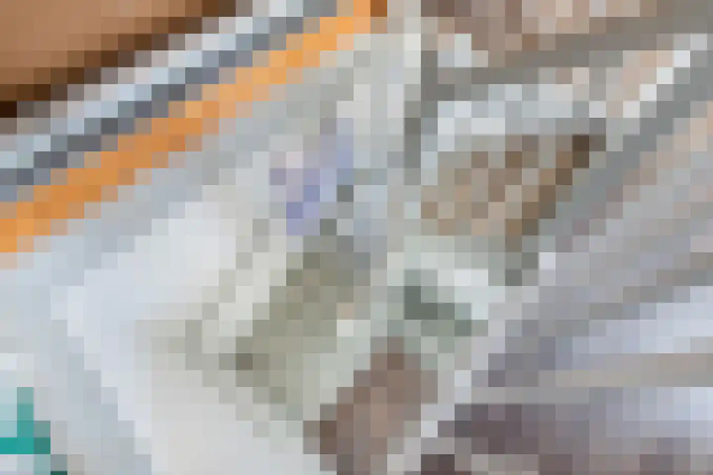 Ljippeblom 26 Boornbergum thumbnail 41