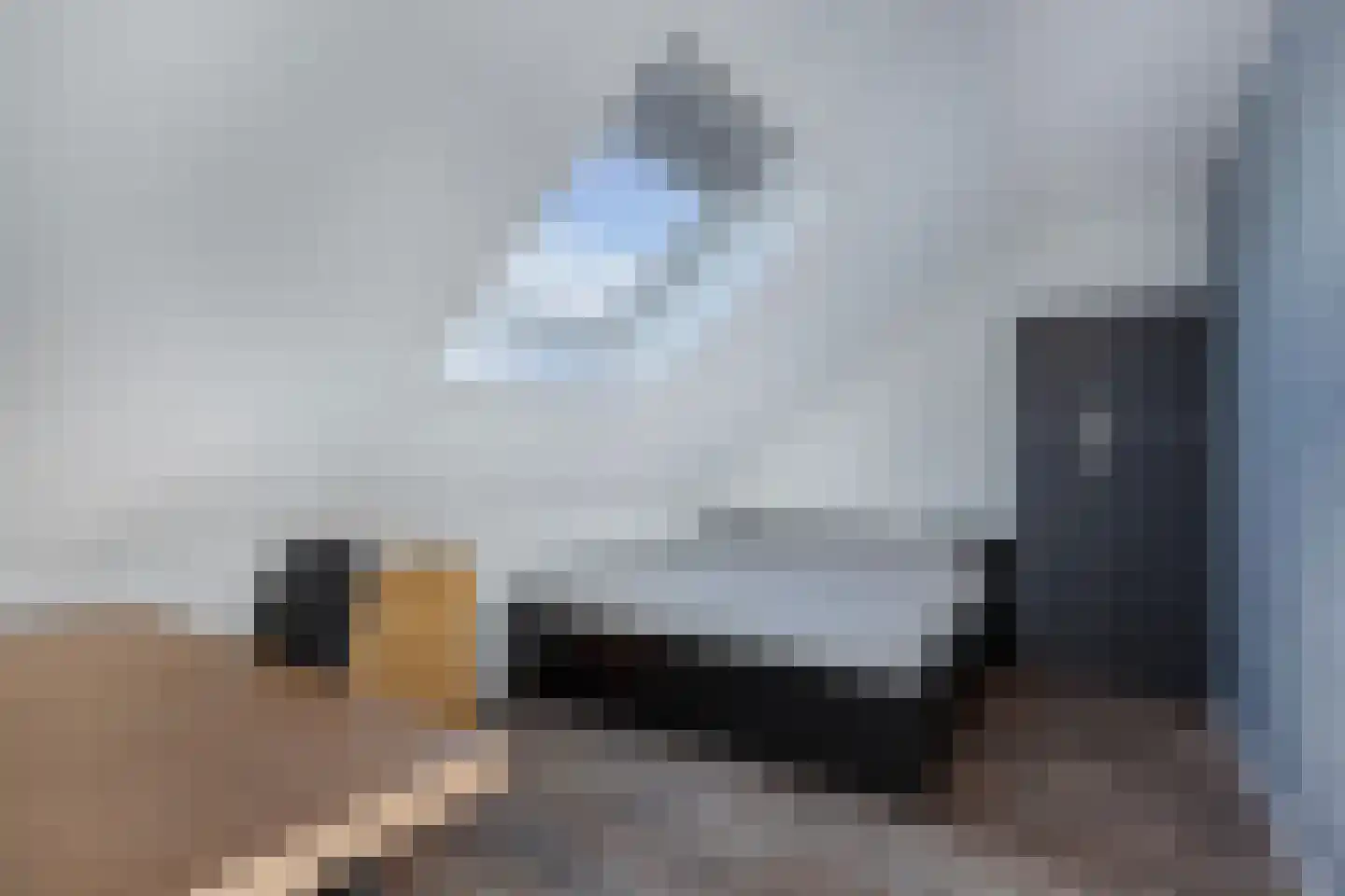 Ljippeblom 26 Boornbergum thumbnail 43