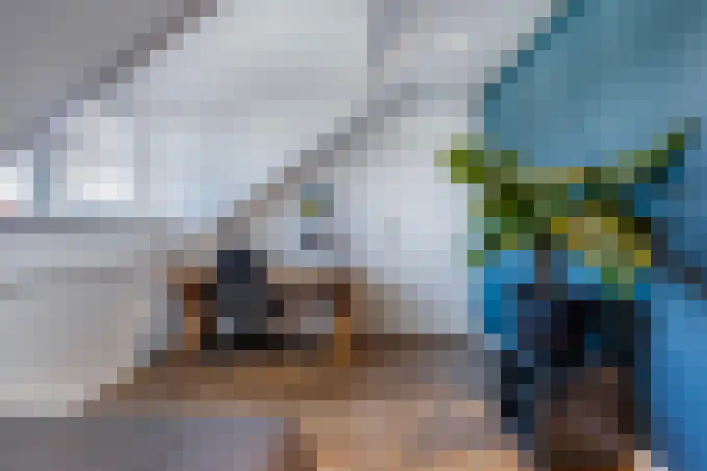 Ljippeblom 26 Boornbergum thumbnail 44