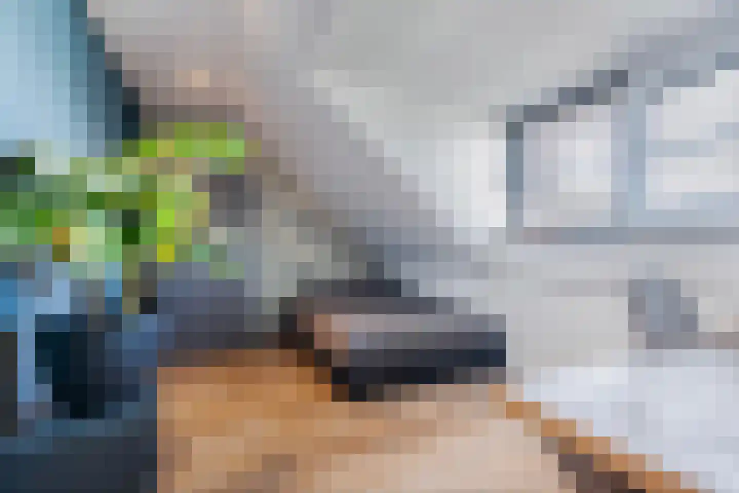 Ljippeblom 26 Boornbergum thumbnail 45