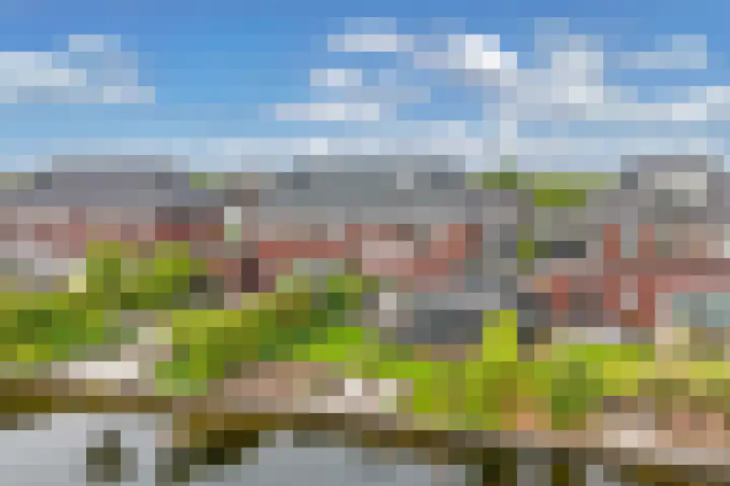 Ljippeblom 26 Boornbergum thumbnail 46
