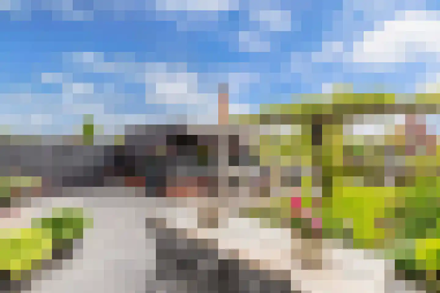 Ljippeblom 26 Boornbergum thumbnail 48