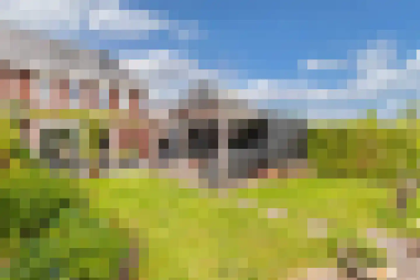 Ljippeblom 26 Boornbergum thumbnail 5