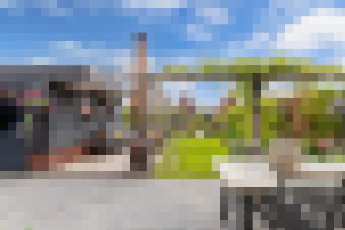 Ljippeblom 26 Boornbergum thumbnail 50