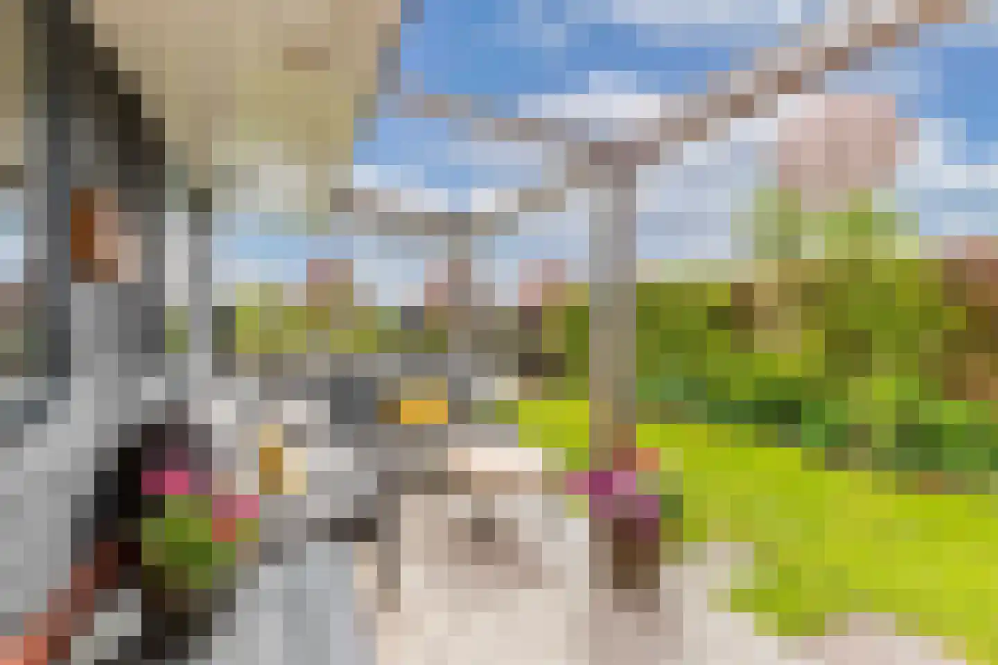 Ljippeblom 26 Boornbergum thumbnail 52