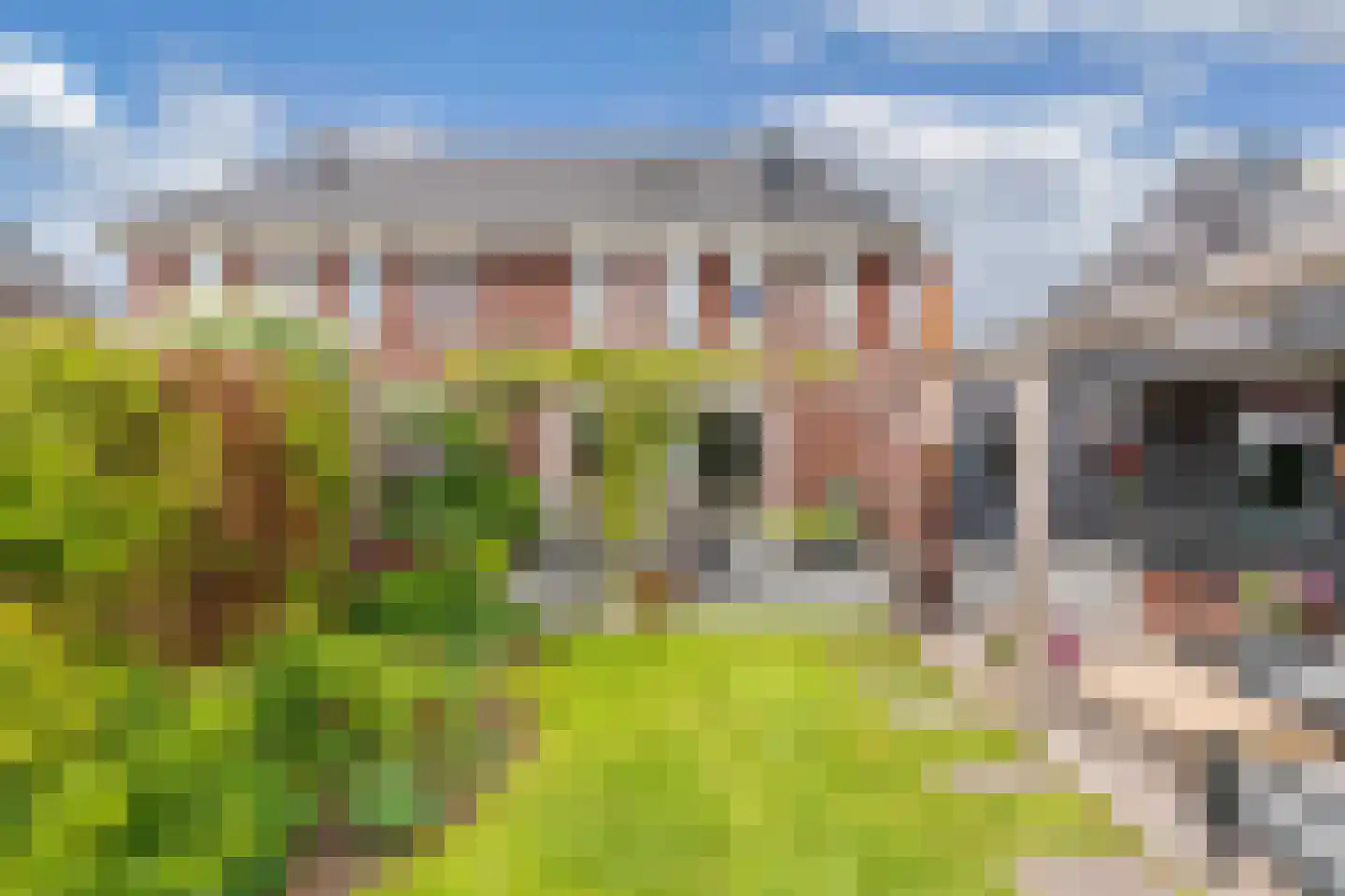 Ljippeblom 26 Boornbergum thumbnail 53